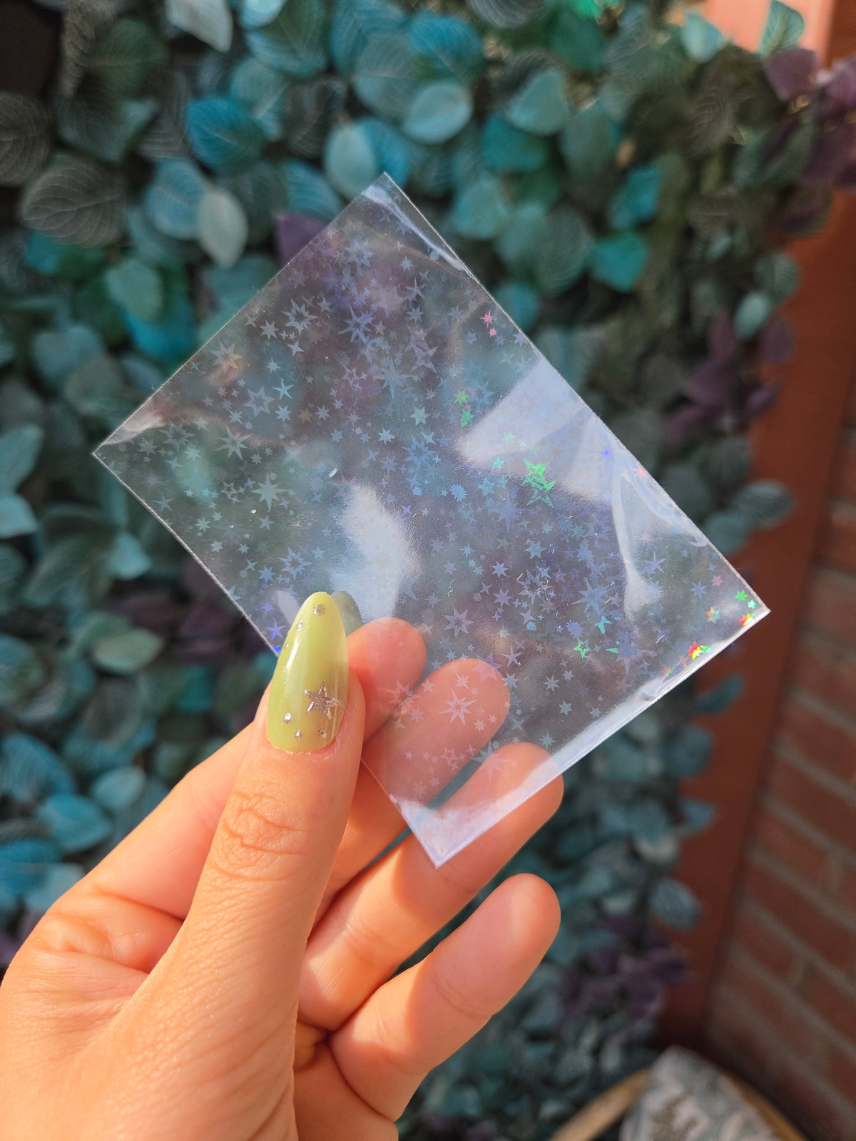 50 pcs STAR HOLO SLEEVES .✦ ݁˖